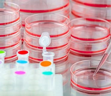 Specialized <br> genetic tests