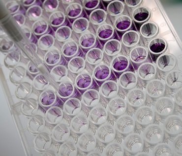 Specialized <br> genetic tests
