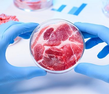 Pathology <br> testing